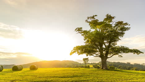 Sonnenaufgangszeitraffer-Mit-Blick-Auf-Einen-Einsamen-Baum-Auf-Einem-Hügel-Mit-Blick-Auf-Die-Landschaft-Und-Die-Natur-Mit-Bergen-Im-Sommer,-Mehrfarbiger-Himmel-Und-Wolken-Mit-Strohstapeln-Auf-Der-Seite