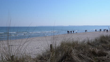 Leute,-Die-An-Einem-Sonnigen-Tag-Am-Strand-Spazieren-Gehen