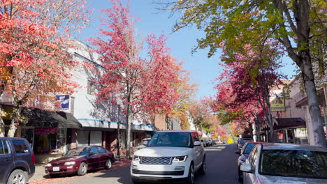 Bright-red-colorful-sugar-maple-trees-in-Roseburg-in-fall-season