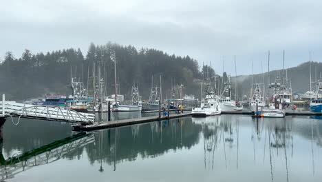 Bahía-De-Winchester,-Costa-De-Oregon,-Estados-Unidos