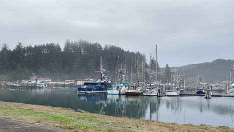 Winchester-Bay,-Oregon.-Möwenvogel,-Der-Durch-Die-Szene-Fliegt