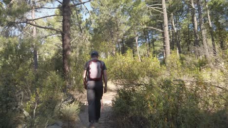 A-couple-hiking-up-by-a-narrow-trail-between-trees-under-the-sun