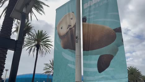 Aquarium-Des-Pazifiks-In-Long-Beach,-Kalifornien