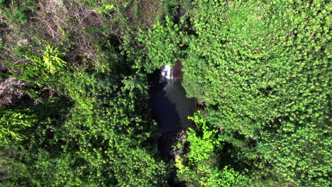 Zoom-in-into-relaxing-waterfall-with-one-person-jumping-in-for-a-swim