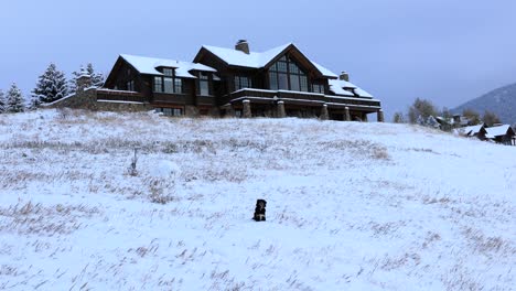 Perro-Sentado-Maravillosamente-Frente-A-La-Mansión-En-La-Colina-Nevada-En-Cámara-Lenta-De-Montana-4k