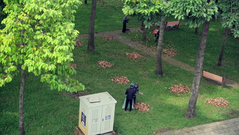 Luftbild-Von-Arbeitern,-Die-Laub-Mit-Einem-Rechen-Fegen-Und-In-Säcke-Packen