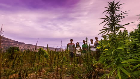 Tourist-friends-having-fun-at-marijuana-field-in-Morocco