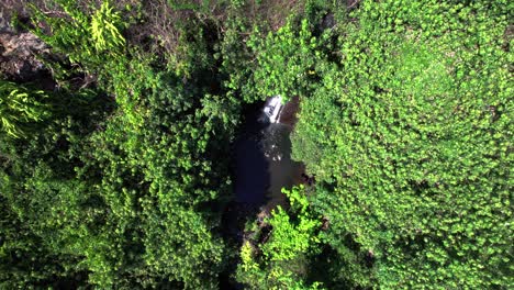 Waterfall-seen-through-dense-rain-forest-tree's-with-some-unrecognisable-people-swimming