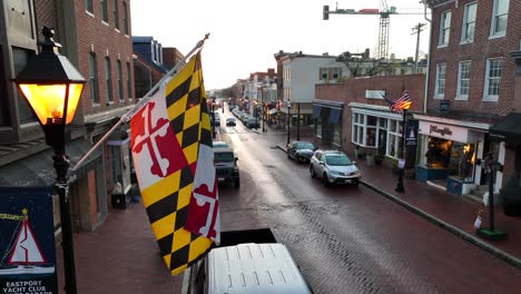 Bandera-Del-Estado-De-Maryland