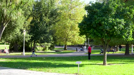 Grandfather-playing-soccer-with-grandson-at-a-local-park-grass-field,-Wide-handheld-shot