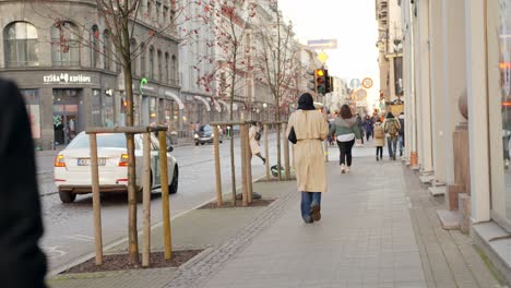 Leute,-Die-In-Zeitlupe-Mit-Dem-Rücken-Zur-Kamera-Auf-Der-Straße-Gehen,-Während-Eine-Blitz-vcard-Vorbeifährt