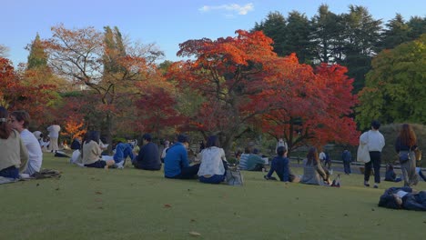 Herbstfarben-In-Einem-Japanischen-Park-An-Einem-Sonnigen-Tag-Mit-Menschen,-Die-Sich-Auf-Dem-Gras-Entspannen-Und-Ausruhen