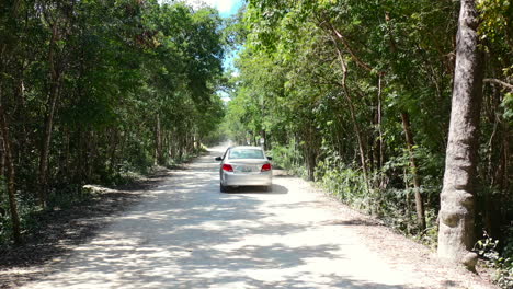 Conducción-De-Automóviles-Todoterreno-En-Un-Día-Soleado-De-Verano-En-El-Bosque-De-Coba-Quintana-Roo