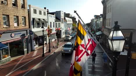 Bandera-Del-Estado-De-Maryland