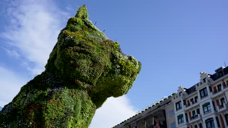 Escultura-De-Cachorros-De-Jeff-Koons-Fuera-Del-Museo-Guggenheim-Con-Edificios-Residenciales-Cercanos,-Tiro-Amplio-Mirando-Hacia-Arriba