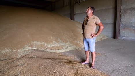 Se-Ve-A-Un-Agricultor-De-Trigo-En-Su-Almacén-De-Almacenamiento-De-Granos-Después-De-Haber-Sido-Cosechado-De-Sus-Campos-De-Cultivo-De-Trigo-Durante-El-Verano-En-Ucrania