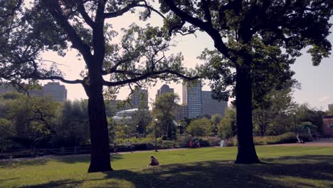 Disfrutando-De-Las-áreas-De-Césped-Del-Zoológico-De-Lincoln-Park-En-El-Verano