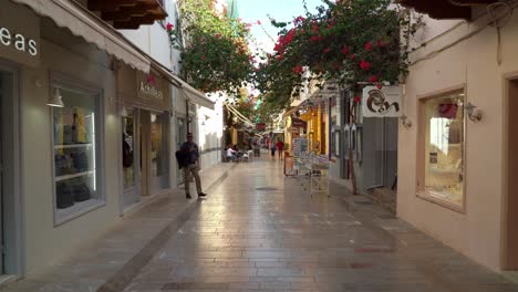 Red-Petal-Flowers-are-Growing-on-the-Walls-of-Old-Houses-of-Nafplio-Town