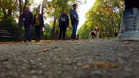 Toma-En-ángulo-Bajo-Desde-La-Perspectiva-De-Un-Dron-De-Su-Aterrizaje-Mientras-La-Gente-Mira-En-Un-Parque