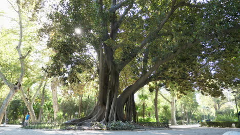 Recorrido-En-Carruaje-Tirado-Por-Caballos-Con-Gente-Corriendo-Y-Caminando-En-El-Parque-Maria-Luisa-En-Sevilla,-España