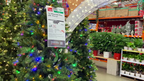 Exhibición-Navideña-De-Home-Depot-Con-árboles-Navideños,-Luces,-Coronas,-Adornos-Para-El-Jardín