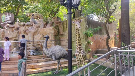 Escena-De-Fondo-Del-Zoológico-Con-El-Letrero-Y-Animales-Disecados-En-El-Zoológico-Byculla---Niños-Disfrutando