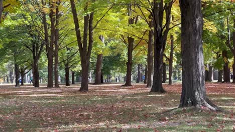 La-Gente-Camina-Por-El-Parque-Alto-En-Un-Hermoso-Día-De-Octubre