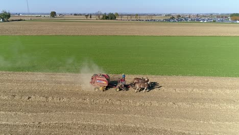 Vista-Aérea-De-Un-Hombre-Y-Una-Mujer-Amish-Cosechando-Tallos-De-Maíz-Y-Achicando-En-Plazas-Con-Equipo-Tirado-Por-Caballos-En-Un-Soleado-Día-De-Otoño