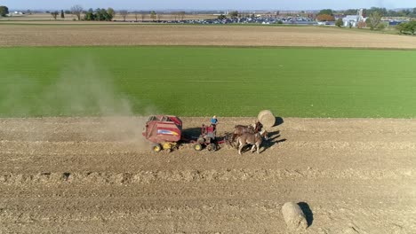 Vista-Aérea-De-Un-Hombre-Y-Una-Mujer-Amish-Cosechando-Tallos-De-Maíz-Y-Achicando-En-Plazas-Con-Equipo-Tirado-Por-Caballos-En-Un-Soleado-Día-De-Otoño