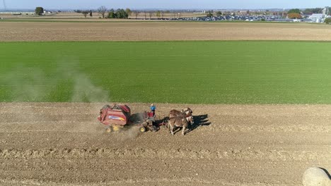 Vista-Aérea-De-Un-Hombre-Y-Una-Mujer-Amish-Cosechando-Tallos-De-Maíz-Y-Achicando-En-Plazas-Con-Equipo-Tirado-Por-Caballos-En-Un-Soleado-Día-De-Otoño