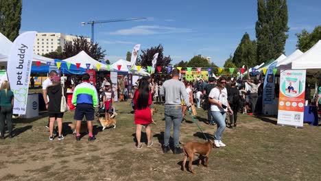 Festival-Canino-Dedicado-A-Juegos,-Diversión,-Golosinas,-Productos-Y-Servicios-Para-Perros