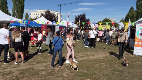 Hundefest-Für-Spiele,-Spaß,-Leckereien,-Produkte-Und-Dienstleistungen-Für-Hunde