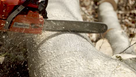 Close-Up-Of-Chainsaw-Cutting-In-Tree-Trunk