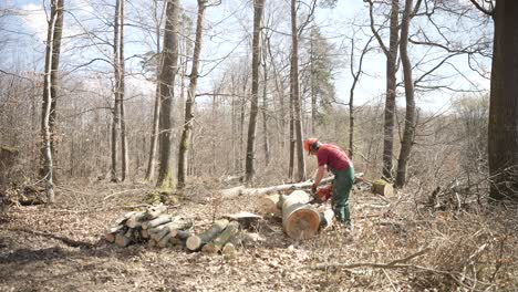 Baumchirurg-Mit-Kettensäge-Zum-Schneiden-Von-Holz-Im-Wald-Im-Taunus,-Deutschland