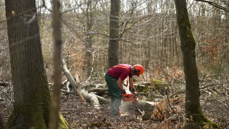 Leñador-Usando-Motosierra-Para-Cortar-árboles-Caídos-En-El-Bosque-En-Taunus,-Alemania