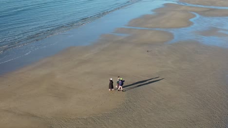 Una-Vista-Aérea-De-Los-Nadadores-De-Invierno-En-Una-Playa-De-Arena