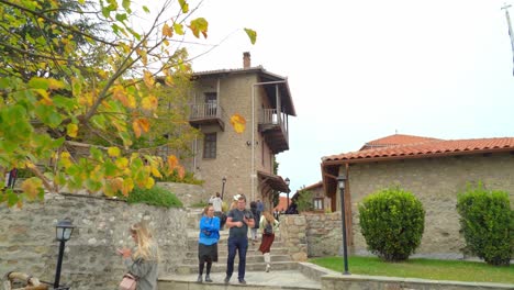 Hojas-De-Otoño-Ondas-En-El-árbol-En-El-Santo-Monasterio-De-Gran-Meteorito-En-La-Formación-Rocosa-De-Meteora-En-Grecia