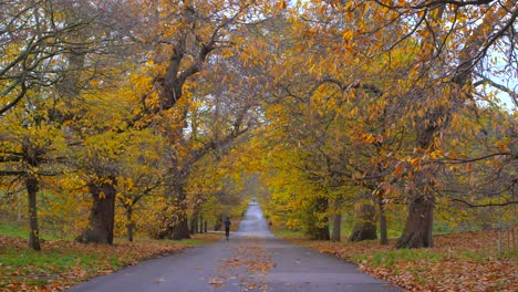 Jogger-En-La-Carretera-Vacía-En-El-Parque-Real-De-Greenwich-Durante-El-Otoño-En-Londres,-Reino-Unido