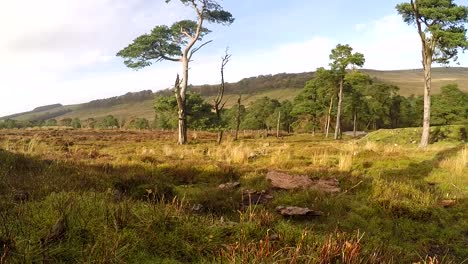 Schöne-Landschaft-Von-Lancashire-Im-Trog-Von-Bowland