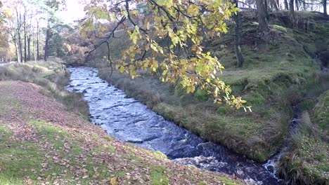 Beautiful-Lancashire-countryside-in-the-Trough-of-Bowland