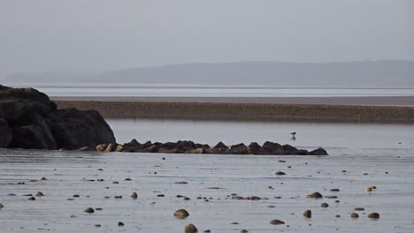 Verschiedene-Szenen-Aus-Der-Atemberaubenden-Bucht-Von-Morecambe-In-England