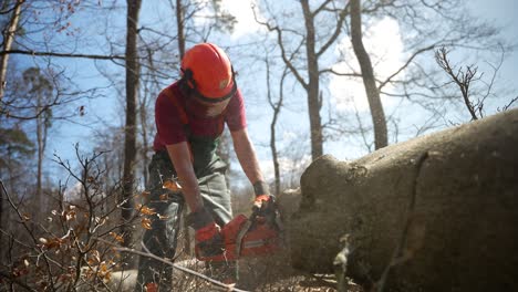 Arborista-Con-Casco-Protector-Naranja-Con-Visera-Usando-Motosierra-Para-Cortar-El-Tronco-Del-árbol-En-El-Suelo