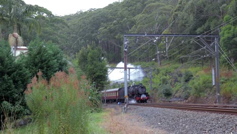 Steam-locomotive---Kiama-Picnic-Train-5917-steaming-through-Otford-Valley,-NSW,-Australia---4K-59