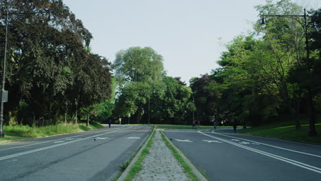 New-Yorkers-trek-through-prospect-park-on-a-summer-day