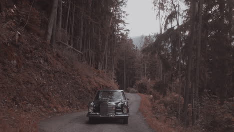 Conduciendo-Un-Mercedes-Benz-Clásico-Cuesta-Arriba-En-Un-Camino-Forestal,-Vista-Frontal