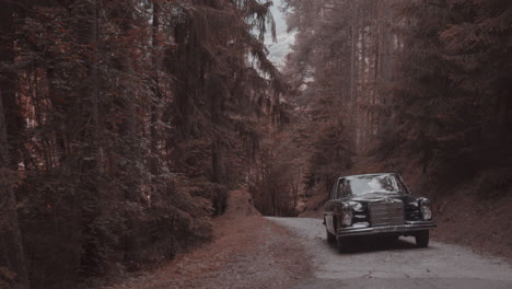 Vorderansicht-Auf-Oldtimer-Mercedes-300-SE-Auf-Der-Straße-Im-Wald-Langsam-Fahren