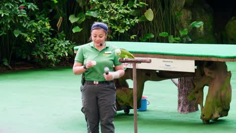 Trainer-Zusammen-Mit-Tiertraining,-Das-Eine-Show-Im-Großen-Zoo-Durchführt