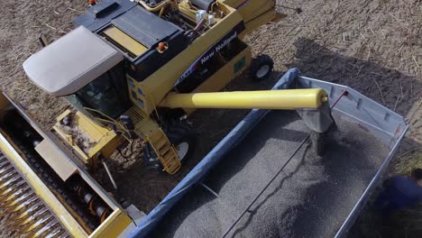 yellow-combine-harvester-unloads-the-sunflower-seeds-collected-in-the-truck-body