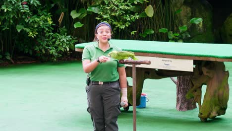 Trainer-Zusammen-Mit-Tiertraining,-Das-Eine-Show-Im-Großen-Zoo-Durchführt