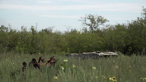 Un-Vehículo-Blindado-De-Transporte-De-Personal-Ruso-Ha-Sido-Abandonado-Junto-A-Escombros-De-Vehículos-Oxidados-En-Un-Campo-De-Hierba-Alta-Y-Girasoles-Amarillos-Cerca-Del-Frente-De-Kherson-Ocupado-Por-Los-Rusos-En-Ucrania